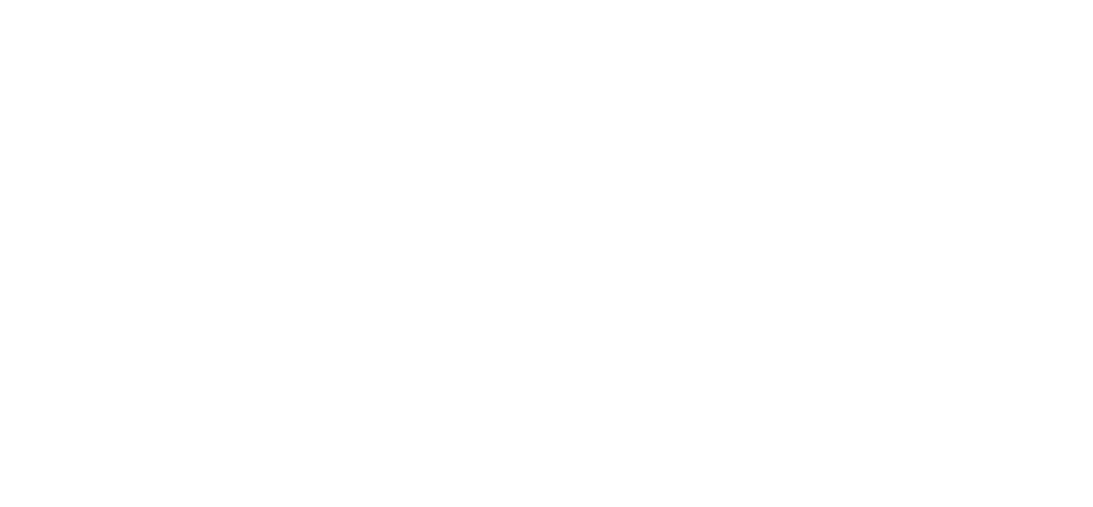 Logo ELS Production, création d'événements immersifs et shows aquatiques